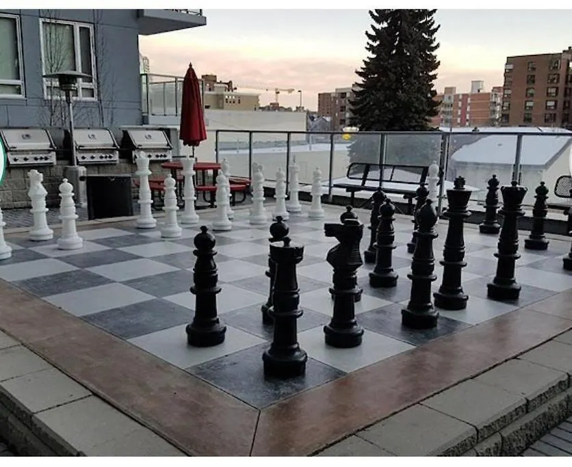 Japan Meets Calgary Apartment